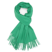 Load image into Gallery viewer, Spring and Winter Green Pashmina
